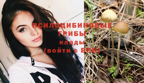 Альфа ПВП Михайловка