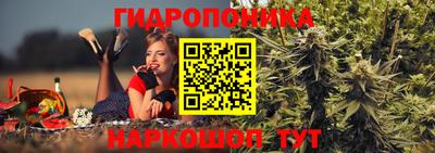 ECSTASY Заводоуковск