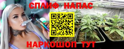 МДПВ Волгодонск