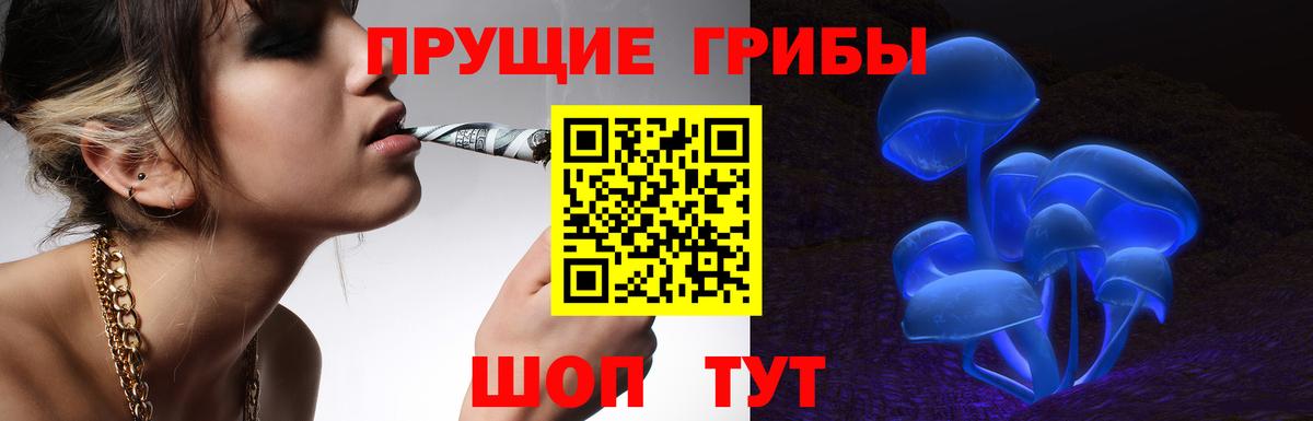 закладка  Псилоцибиновые грибы мицелий  Вход с VPN  Ирбит 