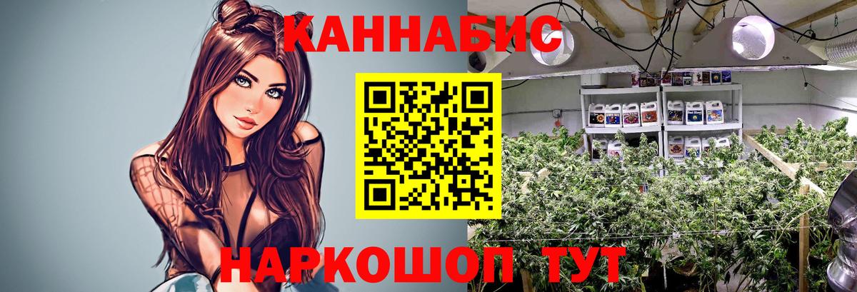 МАРИХУАНА индика  Бошки Шишки Bruce Banner  Вход с VPN  Ирбит  Каннабис Ganja 